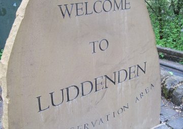 Community projects